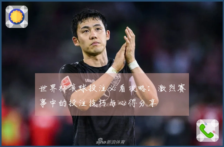 世界杯滚球投注必看攻略：激烈赛事中的投注技巧与心得分享