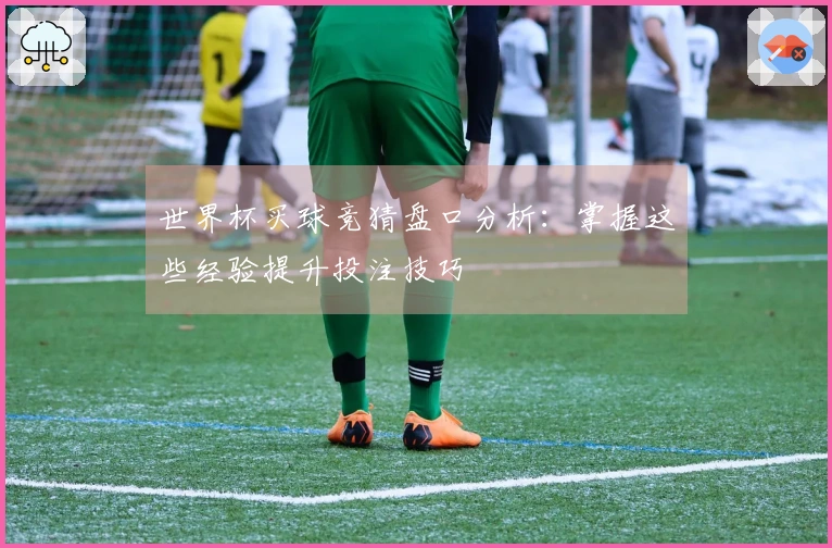 世界杯买球竞猜盘口分析：掌握这些经验提升投注技巧