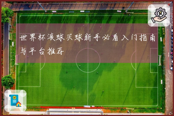 世界杯滚球买球新手必看入门指南与平台推荐
