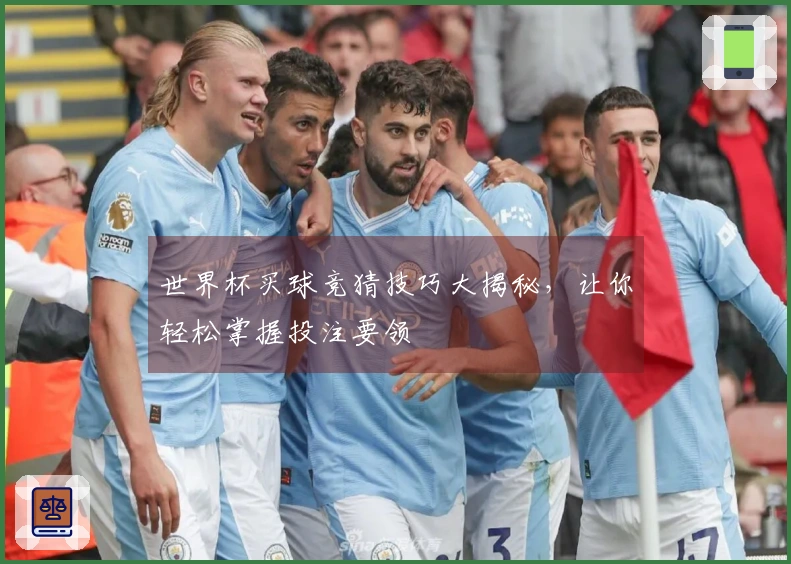 世界杯买球竞猜技巧大揭秘，让你轻松掌握投注要领
