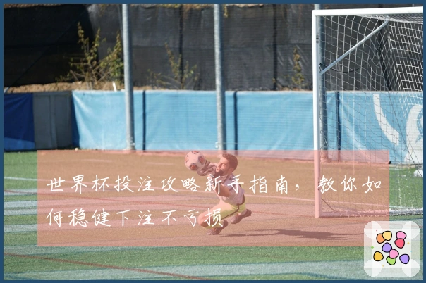 世界杯投注攻略新手指南，教你如何稳健下注不亏损