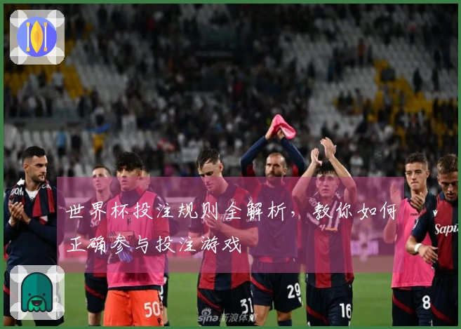 世界杯投注规则全解析，教你如何正确参与投注游戏