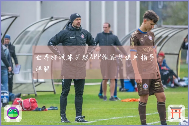 世界杯滚球买球APP推荐与使用指导详解