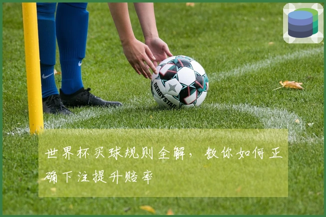 世界杯买球规则全解，教你如何正确下注提升赔率