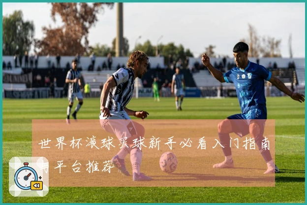 世界杯滚球买球新手必看入门指南与平台推荐