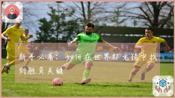 新手必看：如何在世界杯竞猜中找到胜负关键