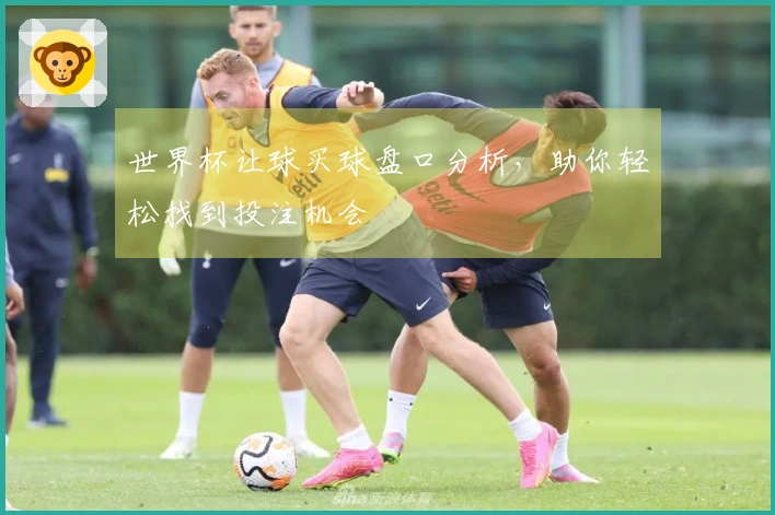 世界杯让球买球盘口分析，助你轻松找到投注机会