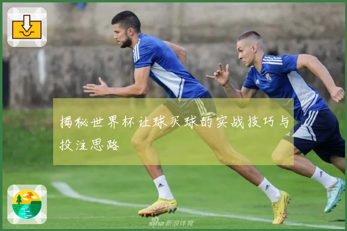 揭秘世界杯让球买球的实战技巧与投注思路