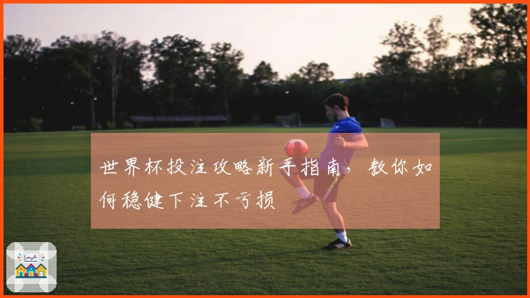 世界杯投注攻略新手指南，教你如何稳健下注不亏损