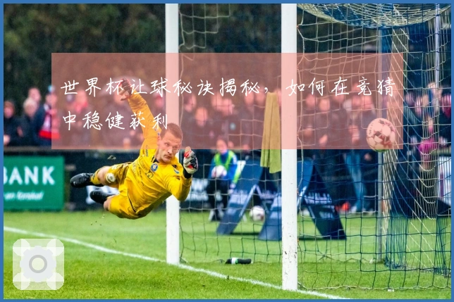 世界杯让球秘诀揭秘，如何在竞猜中稳健获利